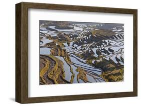 Reflections Off Water Filled Rice Terraces, Yuanyang, Honghe, China-Peter Adams-Framed Photographic Print