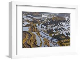 Reflections Off Water Filled Rice Terraces, Yuanyang, Honghe, China-Peter Adams-Framed Photographic Print