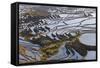 Reflections Off Water Filled Rice Terraces, Yuanyang, Honghe, China-Peter Adams-Framed Stretched Canvas