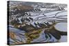 Reflections Off Water Filled Rice Terraces, Yuanyang, Honghe, China-Peter Adams-Stretched Canvas