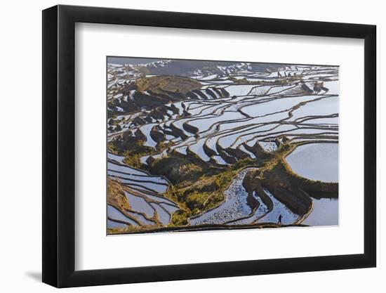 Reflections Off Water Filled Rice Terraces, Yuanyang, Honghe, China-Peter Adams-Framed Photographic Print