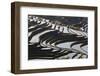 Reflections Off Water Filled Rice Terraces, Yuanyang, Honghe, China-Peter Adams-Framed Photographic Print