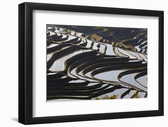 Reflections Off Water Filled Rice Terraces, Yuanyang, Honghe, China-Peter Adams-Framed Photographic Print