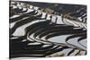 Reflections Off Water Filled Rice Terraces, Yuanyang, Honghe, China-Peter Adams-Stretched Canvas