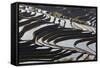 Reflections Off Water Filled Rice Terraces, Yuanyang, Honghe, China-Peter Adams-Framed Stretched Canvas