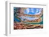 Reflections on a coral reef-Underwater view of a wave breaking over a coral reef-Mark A Johnson-Framed Photographic Print