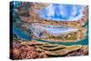Reflections on a coral reef-Underwater view of a wave breaking over a coral reef-Mark A Johnson-Stretched Canvas