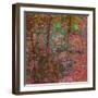 Reflections On A Japanese Garden-Doug Chinnery-Framed Photographic Print