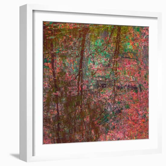 Reflections On A Japanese Garden-Doug Chinnery-Framed Photographic Print