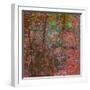 Reflections On A Japanese Garden-Doug Chinnery-Framed Photographic Print