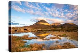 Reflections on a Lochan at Sligachan Bridge on the Isle of Skye, Scotland UK-Tracey Whitefoot-Stretched Canvas