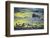 Reflections on Bull Creek, Humboldt Redwoods State Park, California-Rob Sheppard-Framed Photographic Print