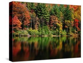 Reflections on Lake Conasauga-James Randklev-Stretched Canvas