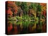 Reflections on Lake Conasauga-James Randklev-Stretched Canvas