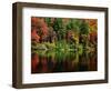 Reflections on Lake Conasauga-James Randklev-Framed Photographic Print