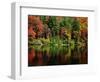 Reflections on Lake Conasauga-James Randklev-Framed Photographic Print