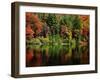 Reflections on Lake Conasauga-James Randklev-Framed Photographic Print