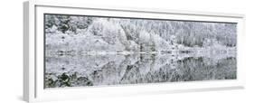 Reflections on Loch Chon in winter, Aberfoyle, Stirling, The Trossachs, Scotland, United Kingdom-John Potter-Framed Premium Photographic Print