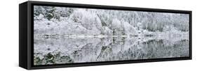 Reflections on Loch Chon in winter, Aberfoyle, Stirling, The Trossachs, Scotland, United Kingdom-John Potter-Framed Stretched Canvas