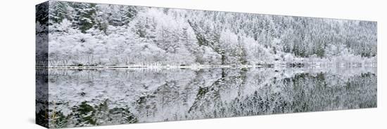 Reflections on Loch Chon in winter, Aberfoyle, Stirling, The Trossachs, Scotland, United Kingdom-John Potter-Stretched Canvas