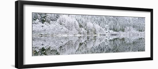 Reflections on Loch Chon in winter, Aberfoyle, Stirling, The Trossachs, Scotland, United Kingdom-John Potter-Framed Photographic Print