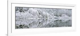 Reflections on Loch Chon in winter, Aberfoyle, Stirling, The Trossachs, Scotland, United Kingdom-John Potter-Framed Photographic Print