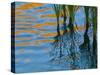 Reflections on Malheur River at Sunset, Oregon, USA-Nancy Rotenberg-Stretched Canvas