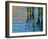 Reflections on Malheur River at Sunset, Oregon, USA-Nancy Rotenberg-Framed Photographic Print