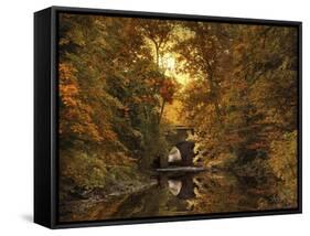 Reflections on October-Jessica Jenney-Framed Stretched Canvas