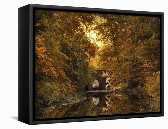 Reflections on October-Jessica Jenney-Framed Stretched Canvas