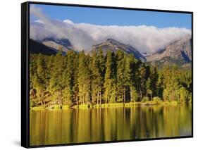 Reflections on Sprague Lake, Rocky Mountain National Park, Colorado, USA-Michel Hersen-Framed Stretched Canvas