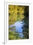 Reflections, Otter Lake, Blue Ridge Parkway, Smoky Mountains, USA.-Anna Miller-Framed Photographic Print