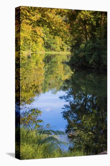 Reflections, Otter Lake, Blue Ridge Parkway, Smoky Mountains, USA.-Anna Miller-Stretched Canvas