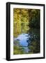 Reflections, Otter Lake, Blue Ridge Parkway, Smoky Mountains, USA.-Anna Miller-Framed Photographic Print