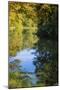 Reflections, Otter Lake, Blue Ridge Parkway, Smoky Mountains, USA.-Anna Miller-Mounted Photographic Print