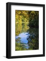 Reflections, Otter Lake, Blue Ridge Parkway, Smoky Mountains, USA.-Anna Miller-Framed Photographic Print