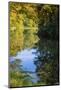 Reflections, Otter Lake, Blue Ridge Parkway, Smoky Mountains, USA.-Anna Miller-Mounted Photographic Print