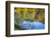 Reflections, Otter Lake, Blue Ridge Parkway, Smoky Mountains, USA.-Anna Miller-Framed Photographic Print