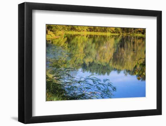 Reflections, Otter Lake, Blue Ridge Parkway, Smoky Mountains, USA.-Anna Miller-Framed Photographic Print