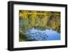 Reflections, Otter Lake, Blue Ridge Parkway, Smoky Mountains, USA.-Anna Miller-Framed Photographic Print