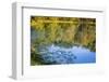 Reflections, Otter Lake, Blue Ridge Parkway, Smoky Mountains, USA.-Anna Miller-Framed Photographic Print