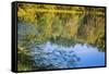 Reflections, Otter Lake, Blue Ridge Parkway, Smoky Mountains, USA.-Anna Miller-Framed Stretched Canvas