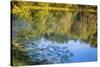 Reflections, Otter Lake, Blue Ridge Parkway, Smoky Mountains, USA.-Anna Miller-Stretched Canvas