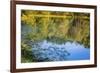 Reflections, Otter Lake, Blue Ridge Parkway, Smoky Mountains, USA.-Anna Miller-Framed Photographic Print