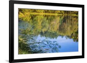 Reflections, Otter Lake, Blue Ridge Parkway, Smoky Mountains, USA.-Anna Miller-Framed Photographic Print