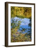 Reflections, Otter Lake, Blue Ridge Parkway, Virginia, USA.-Anna Miller-Framed Photographic Print