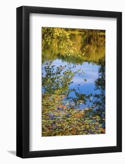 Reflections, Otter Lake, Blue Ridge Parkway, Virginia, USA.-Anna Miller-Framed Photographic Print