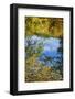 Reflections, Otter Lake, Blue Ridge Parkway, Virginia, USA.-Anna Miller-Framed Photographic Print