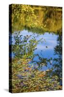 Reflections, Otter Lake, Blue Ridge Parkway, Virginia, USA.-Anna Miller-Stretched Canvas