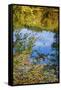 Reflections, Otter Lake, Blue Ridge Parkway, Virginia, USA.-Anna Miller-Framed Stretched Canvas